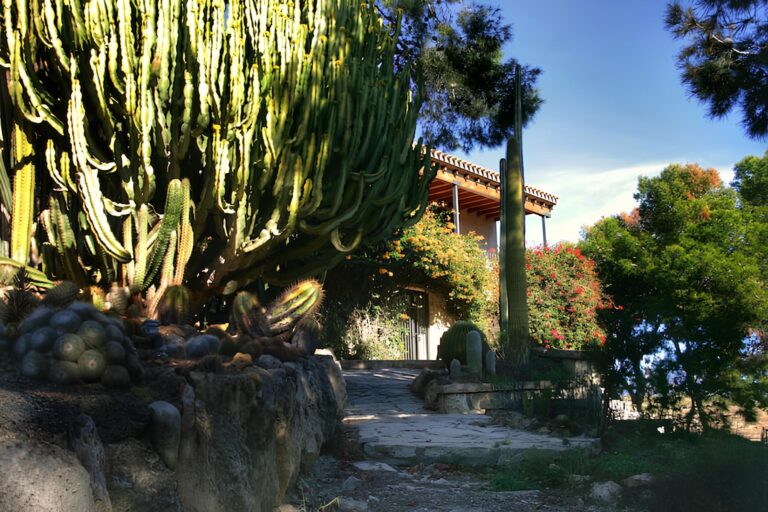 Finca El Llimonar