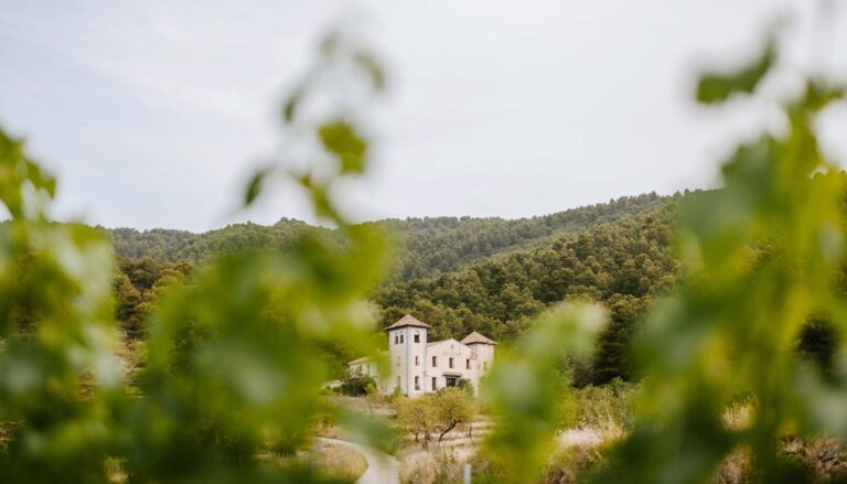 Finca Seguró